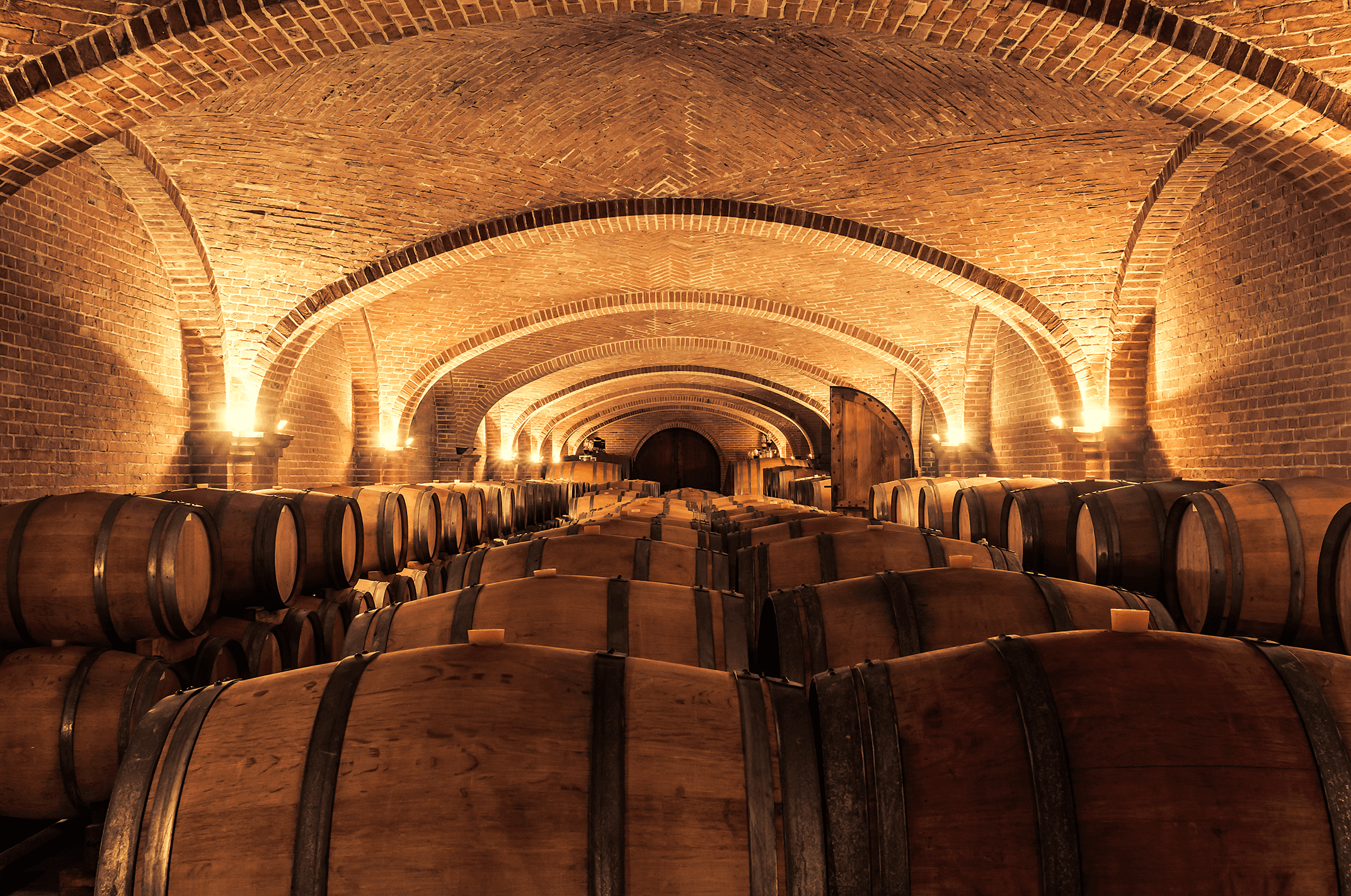 TerraVigna's grand wine cellar with arched stone ceilings
